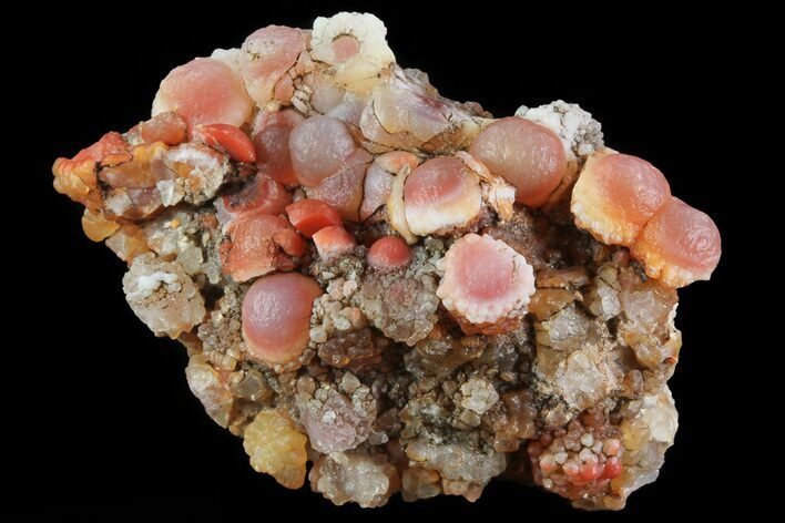 Red, Botryoidal Grape Agate - Utah #70131